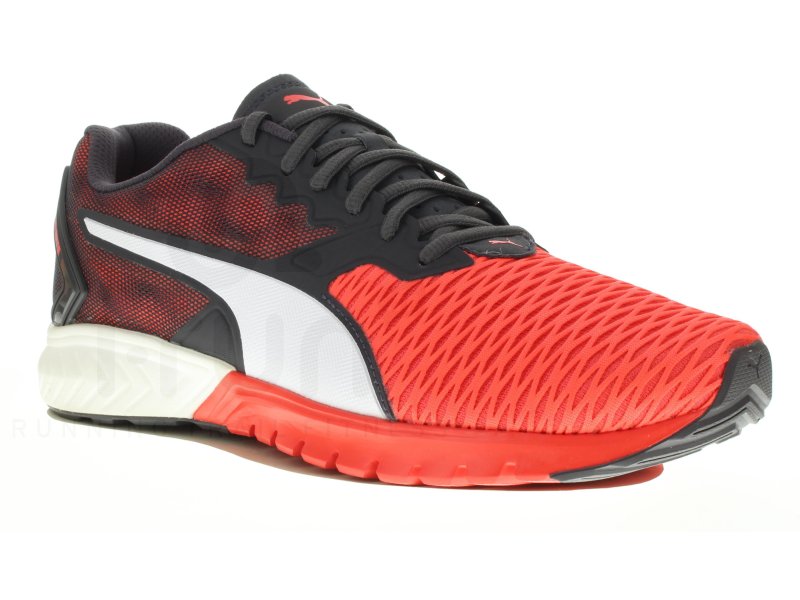 puma marche centrale