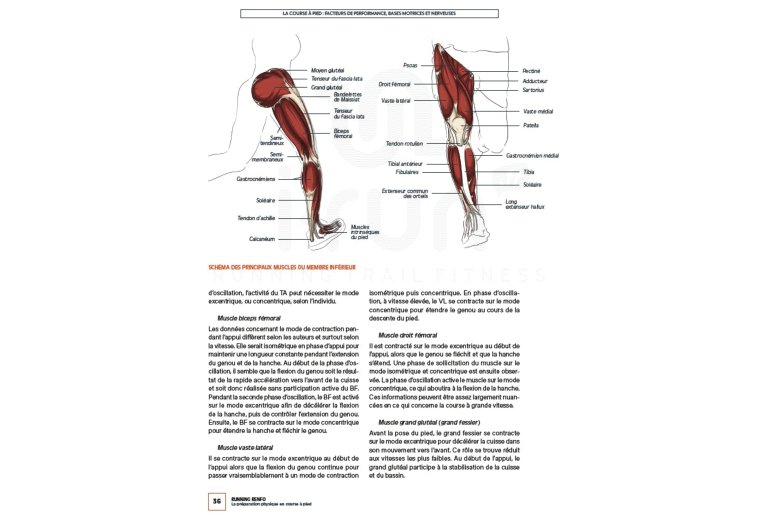 4Trainer Running Renfo - La pr?paration physique en course ? pied