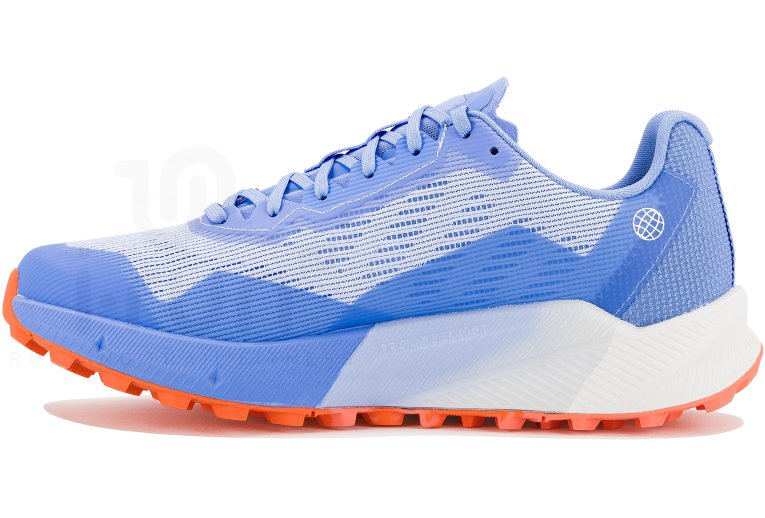 adidas Terrex Agravic Flow 2 Gore-Tex Herren