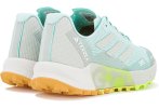adidas Terrex Agravic Flow 2 Gore-Tex