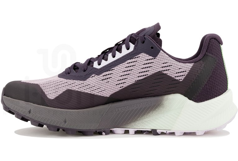 adidas Terrex Agravic Flow 2 Gore-Tex Damen