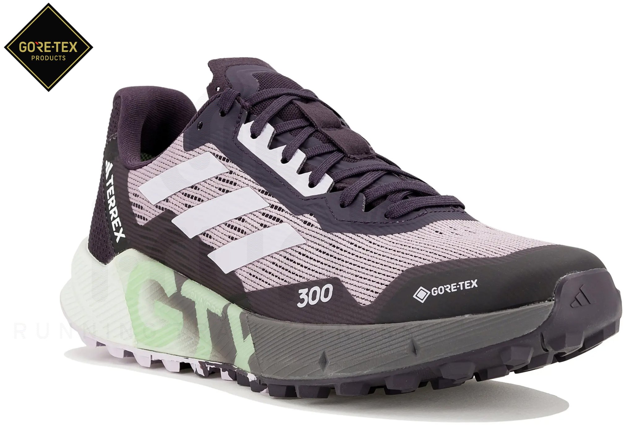 adidas Terrex Agravic Flow 2 Gore-Tex W special offer | Woman Shoes Trails  adidas