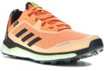 adidas Terrex Agravic Flow Gore-Tex