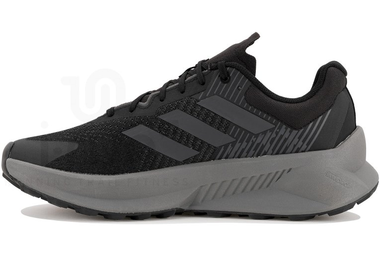 adidas Terrex Soulstride Flow Gore-Tex Herren