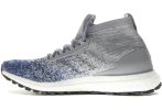 adidas Ultra Boost All Terrain