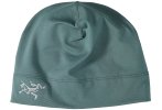 Arcteryx Rho