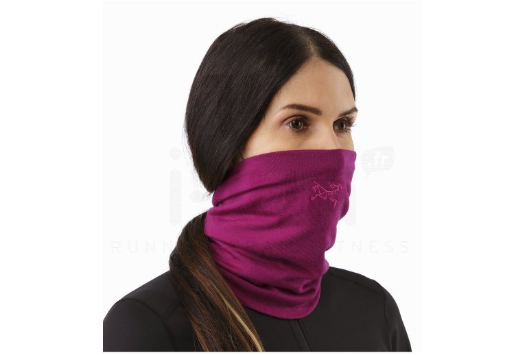 Arcteryx tubular Rho LTW