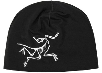 Arcteryx Satoro Merino