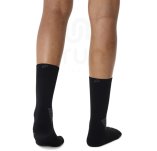 Asics Fujitrail Crew