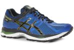 Asics Gel-Cumulus 17 Gore-Tex