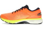 Asics Gel Kayano 25