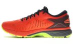 Asics Gel Kayano 25