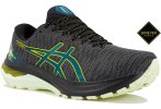 Asics GT-2000 11 Gore-Tex Herren