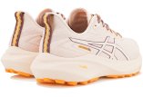Asics GT-2000 13 TR