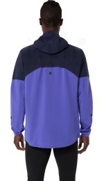 Asics Metarun Waterproof Legend