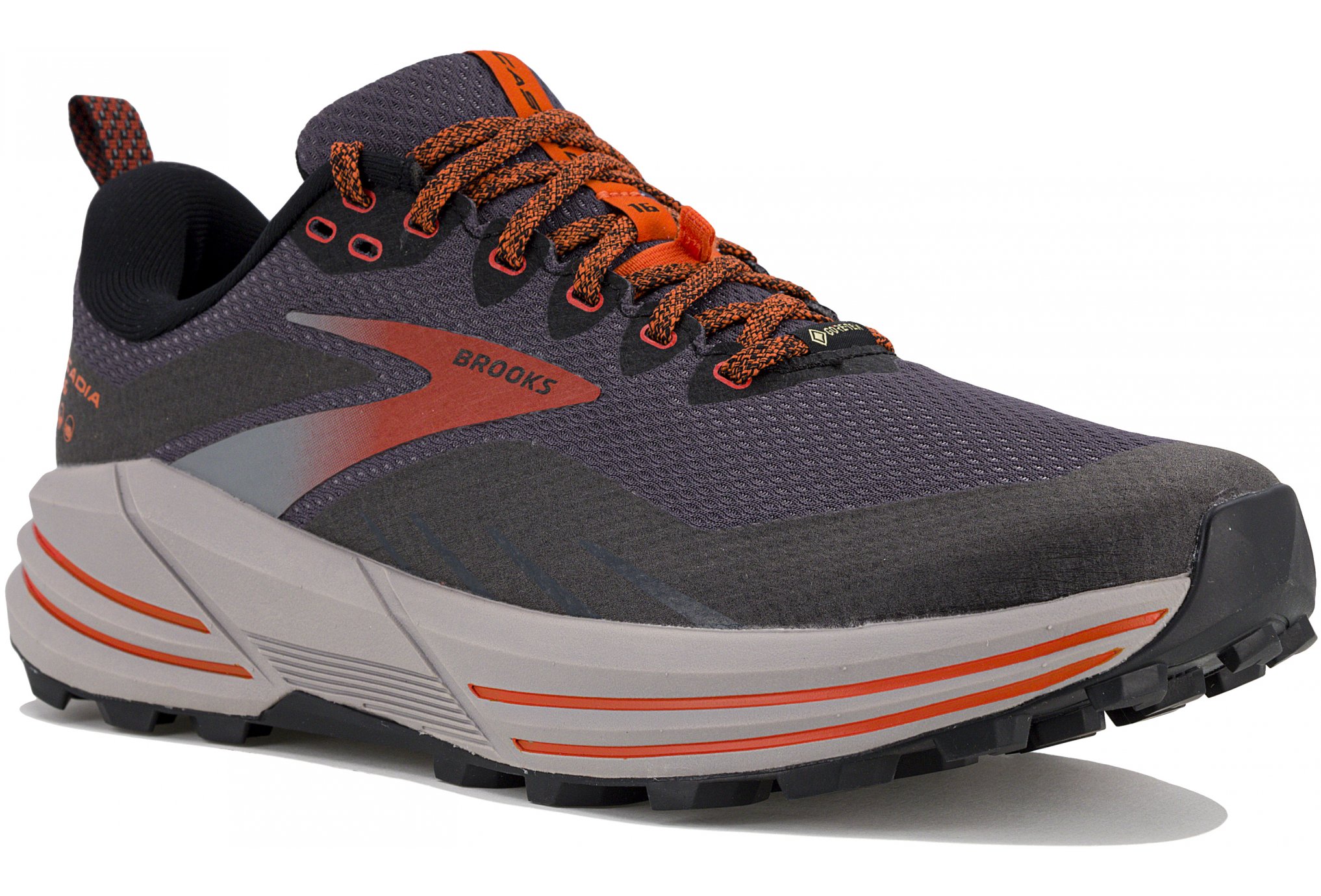 Brooks Cascadia 16 Gore-Tex M Chaussures homme