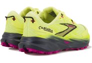 Brooks Cascadia 19