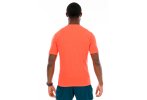 Brooks High Point M