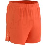 Compressport Performance