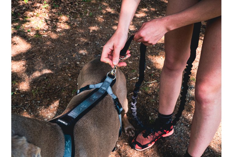 Djoring Laisse Djore Bike