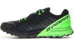 Dynafit Alpine Pro