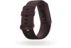 Fitbit Charge 4 