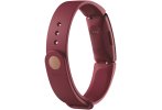 Fitbit Pulsera de actividad Inspire