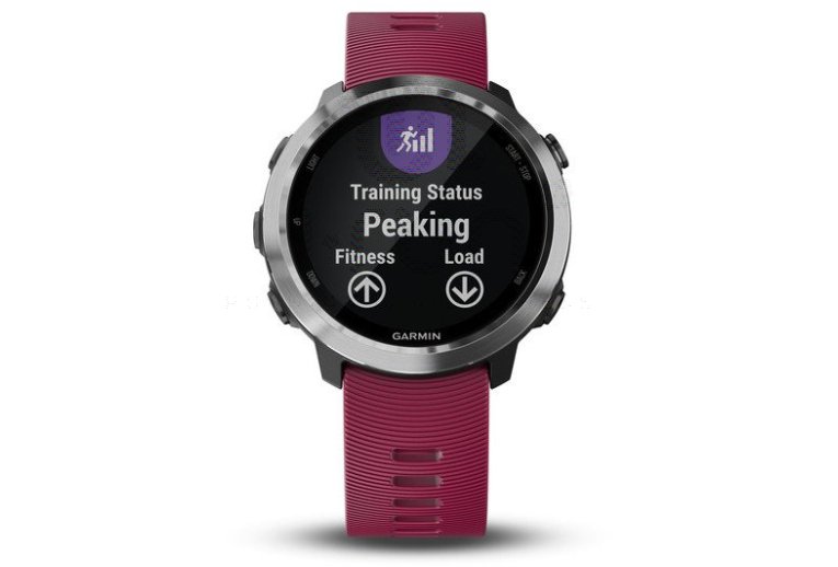 Garmin Pack Forerunner 645 Music+ correa 20 mm negro / plata