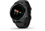 Garmin reloj Venu