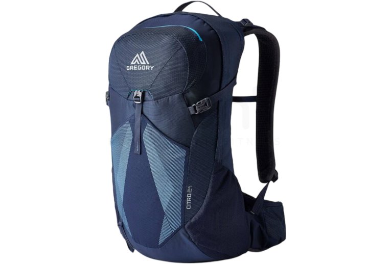 GREGORY Citro 24