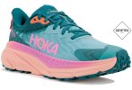 Hoka One One Challenger ATR 7 Gore-Tex W