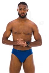 Icebreaker Slip Anatomica Briefs