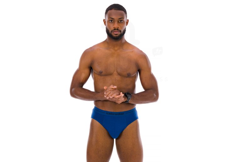Icebreaker Anatomica Brief Merino