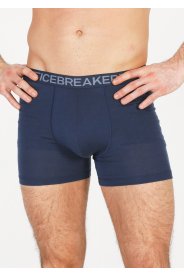 Icebreaker Anatomica M