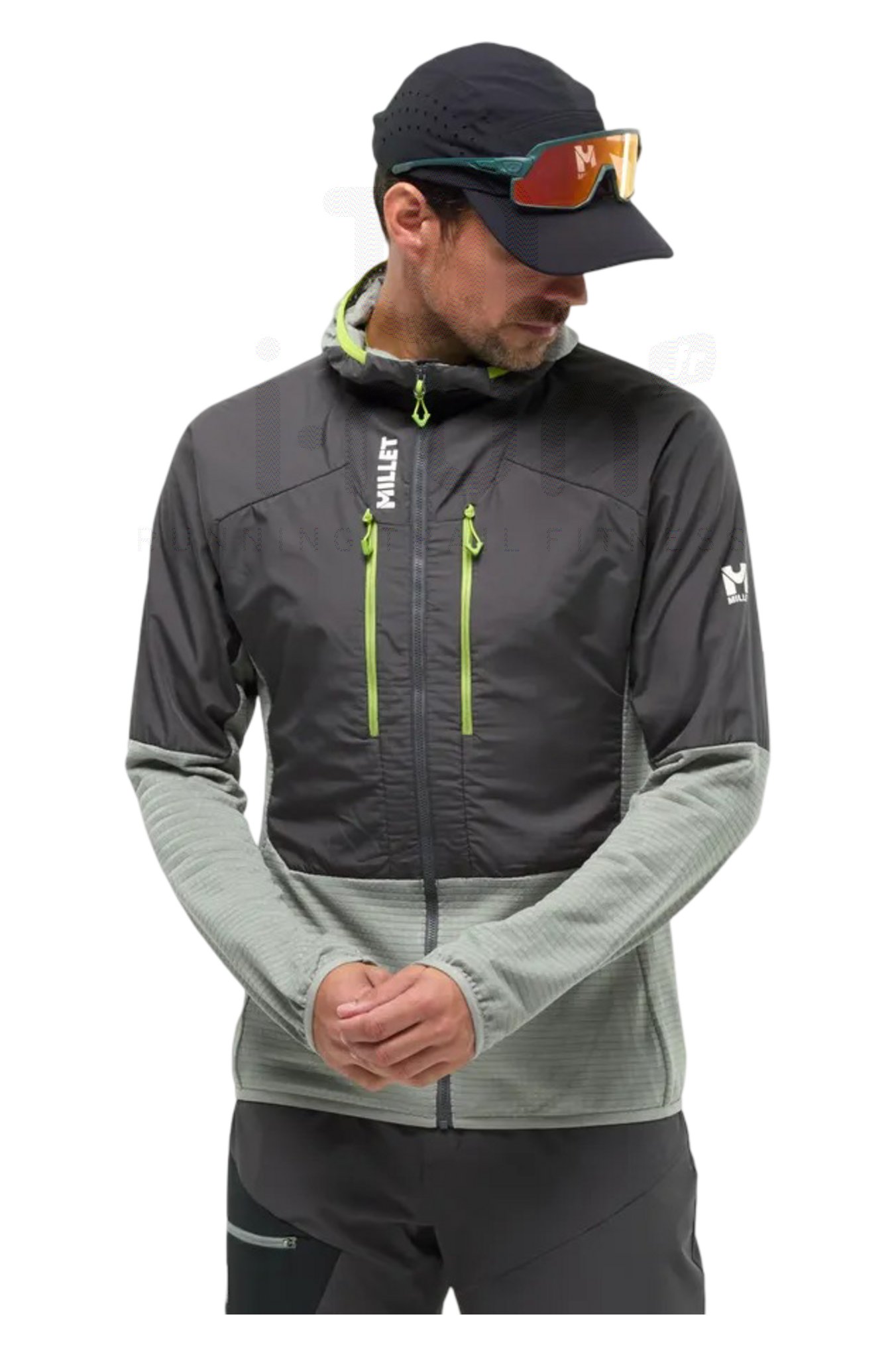 Millet Parmelan Hybrid