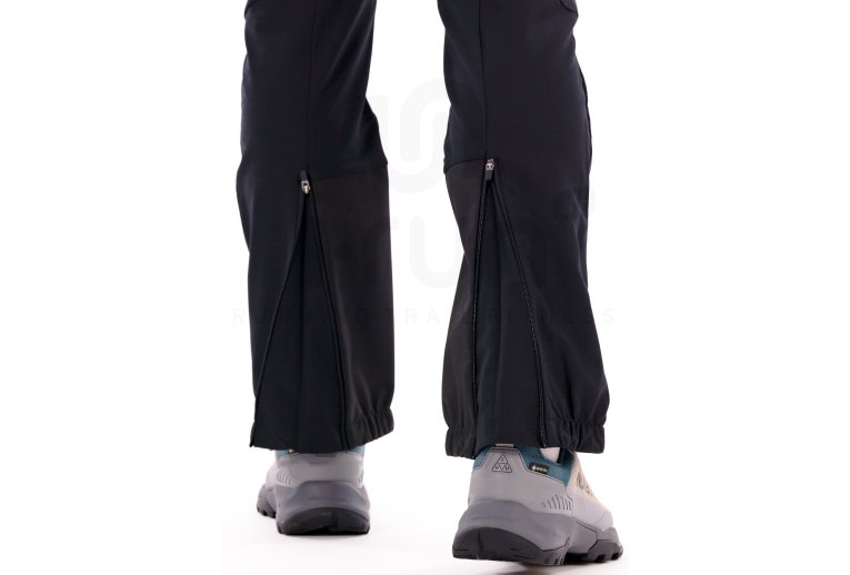 Millet Seneca Hydrid