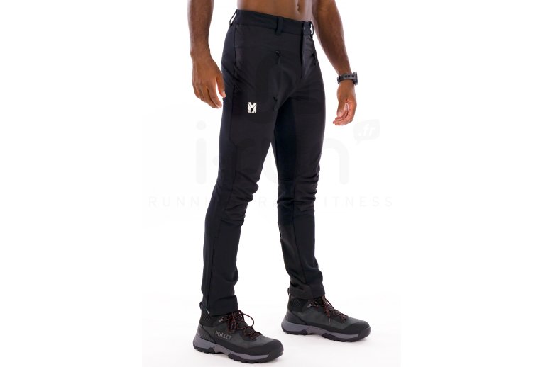 Millet Seneca Hydrid