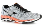 Mizuno Wave Paradox