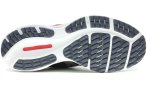 Mizuno Wave Rider 24 Herren