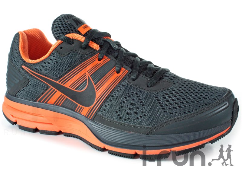 pegasus 29