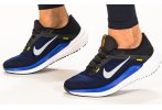 Nike Air Winflo 10 Herren