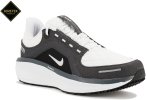 Nike Air Winflo 11 Gore-Tex Herren