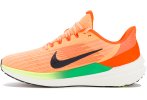 Nike Air Winflo 9