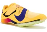 Nike Air Zoom LJ Elite