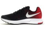 Nike Air Zoom Pegasus 33 GS