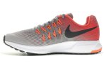 Nike Air Zoom Pegasus 33