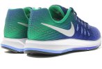 Nike Air Zoom Pegasus 33