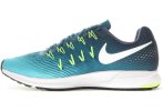 Nike Air Zoom Pegasus 33