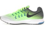 Nike Air Zoom Pegasus 33