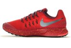 Nike Air Zoom Pegasus 33 Shield